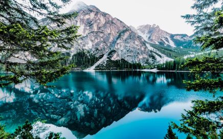 葉黃素果凍的功效與選購指南